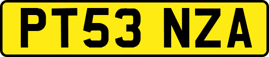 PT53NZA