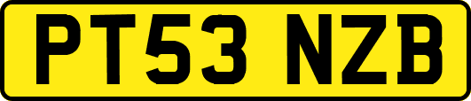 PT53NZB