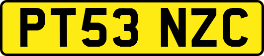 PT53NZC