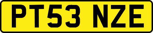 PT53NZE