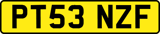 PT53NZF