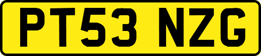 PT53NZG
