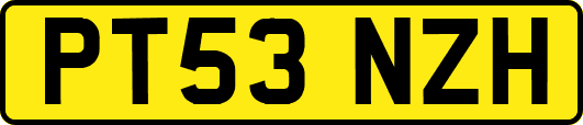 PT53NZH