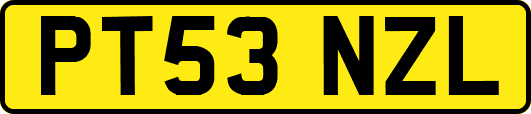PT53NZL