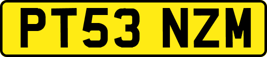 PT53NZM
