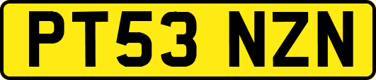 PT53NZN