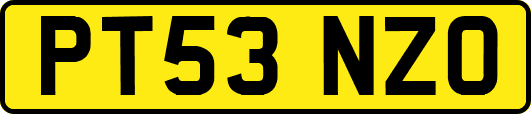 PT53NZO