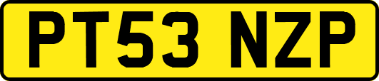 PT53NZP
