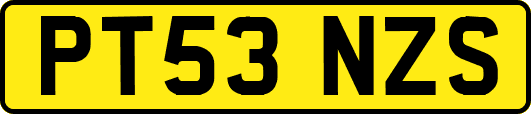 PT53NZS