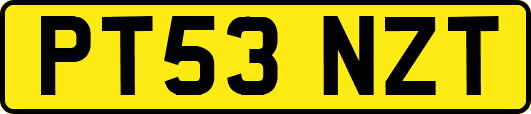 PT53NZT