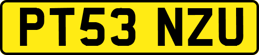 PT53NZU
