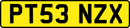 PT53NZX