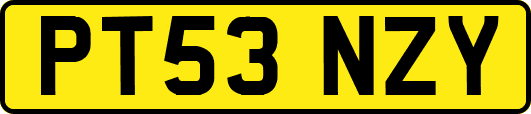 PT53NZY