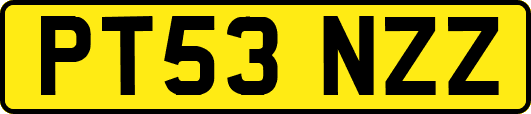 PT53NZZ