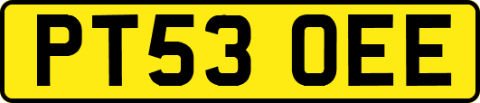 PT53OEE