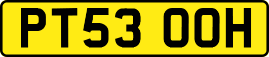 PT53OOH