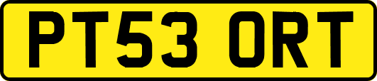 PT53ORT