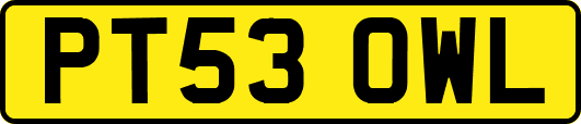 PT53OWL