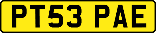 PT53PAE