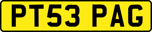 PT53PAG
