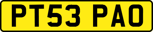 PT53PAO