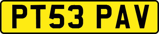 PT53PAV