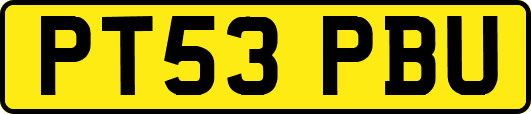 PT53PBU