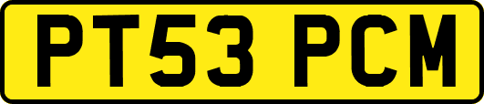 PT53PCM