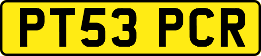 PT53PCR