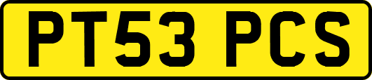 PT53PCS