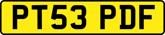 PT53PDF