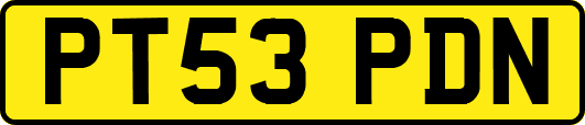 PT53PDN
