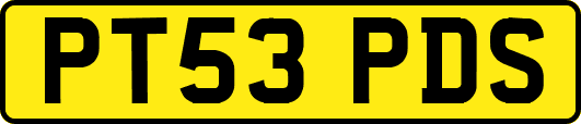 PT53PDS