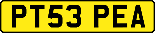 PT53PEA