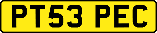 PT53PEC