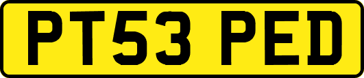 PT53PED