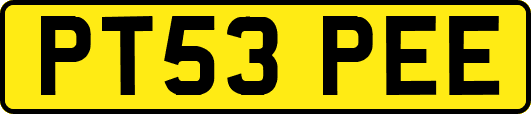 PT53PEE