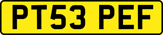 PT53PEF