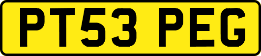 PT53PEG