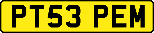 PT53PEM