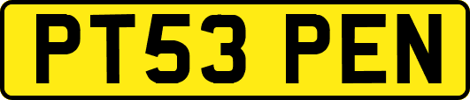 PT53PEN