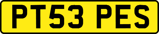 PT53PES