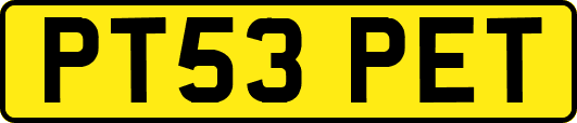PT53PET