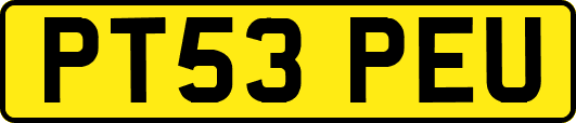 PT53PEU