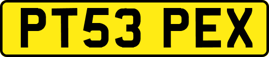 PT53PEX