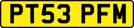 PT53PFM