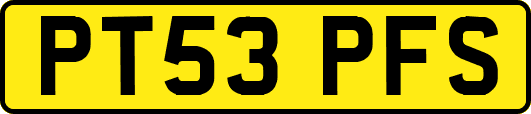 PT53PFS