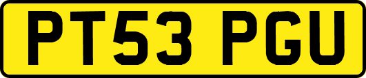 PT53PGU