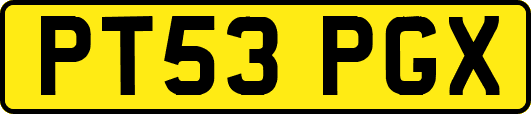PT53PGX