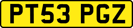 PT53PGZ